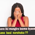 WhatsApp Image 2025-11-26 at 13.52.06