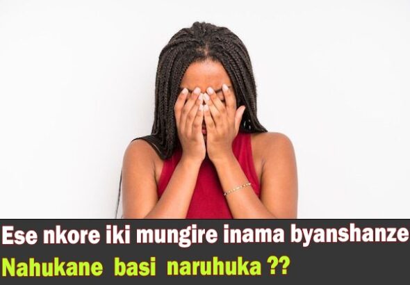 WhatsApp Image 2025-11-26 at 13.52.06