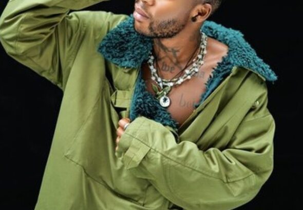 whatsapp-image-2025-02-26-at-12.35.15_845bfcae-1